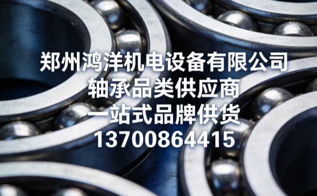 鸿洋南阳线上分站